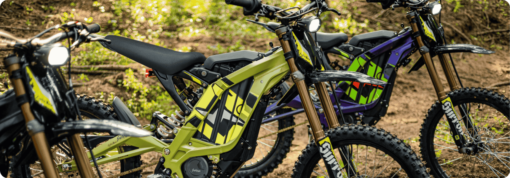 bg-light-bee-2025-colors