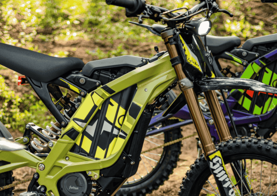 bg-light-bee-2025-colors